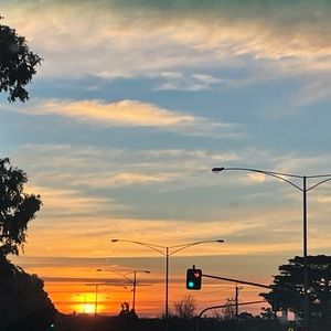 Meet your Posher, Sasha